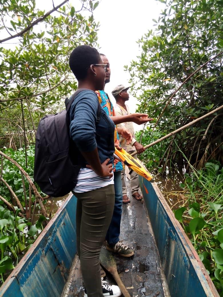 Prospection en pirogue de la mangrove d'Agban à Bingerville (Sud Côte d'Ivoire)