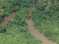 La rivière Hana, l'un des cours d'eau irrigant le Parc National de Taï.