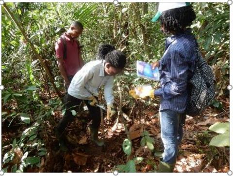 Photo illustratif du prélèvement de carotte de sol dans le parc national du Banco