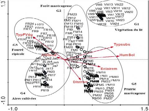 Ordination des parcelles des différents biotopes par l’Analyse Canonique de Correspondance (ACC).
