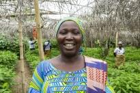 Photo d'une femme dans un champ de cacao