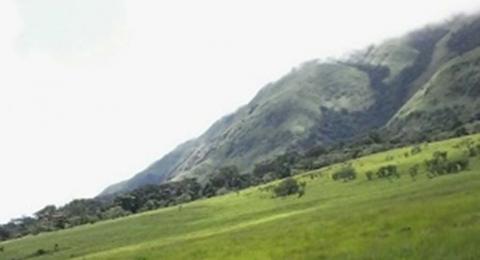 Photo savane