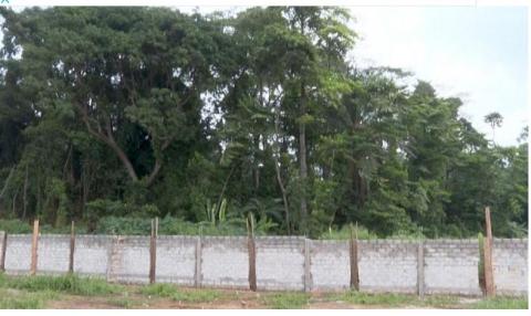 Photo illustratif du mur pour la protection du parc national du Banco à Abidjan