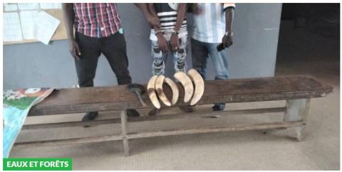 Photo des braconniers arrêtés