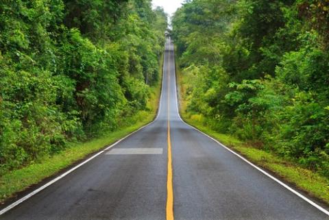 Route reboisée Reboisement sur les voies réalisées par la SODEFOR
